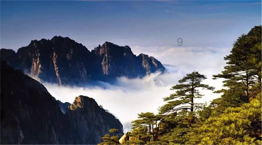 回眸・影语|光影留痕 见证成长